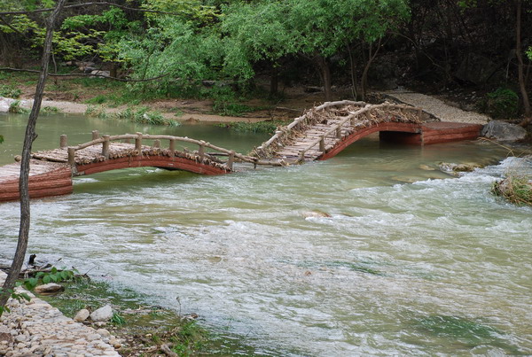 dsc_0324.jpg