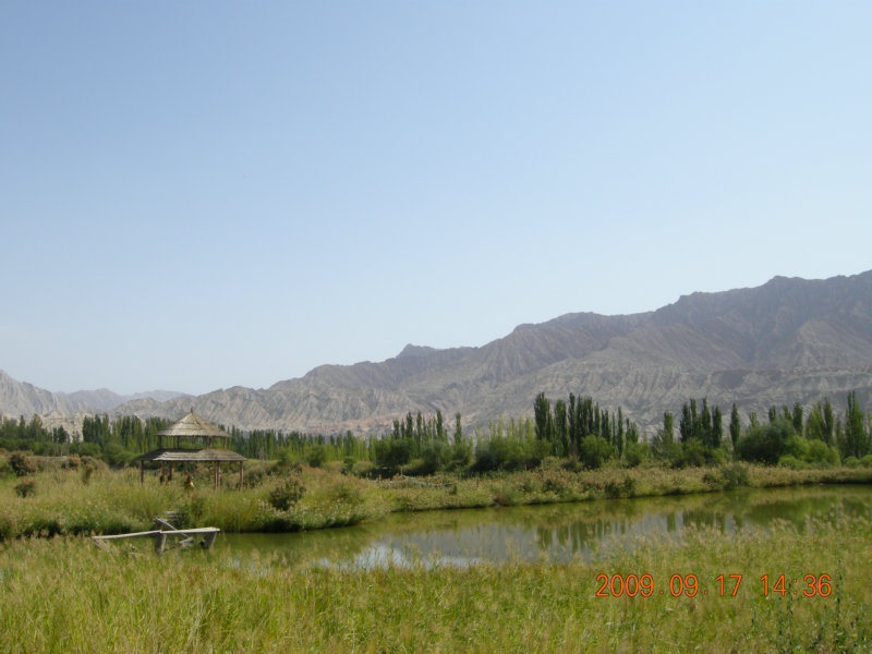 dscn3611.jpg