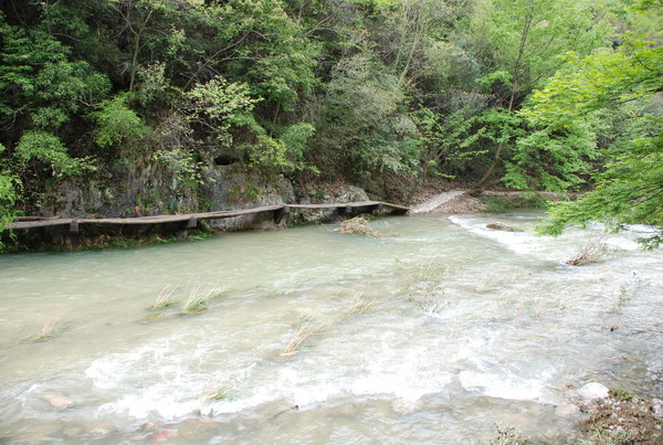 dsc_0308.jpg
