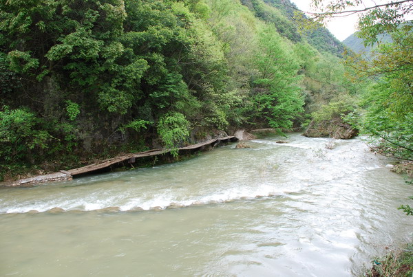 dsc_0309.jpg