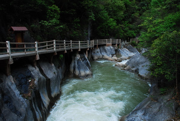 dsc_0358.jpg