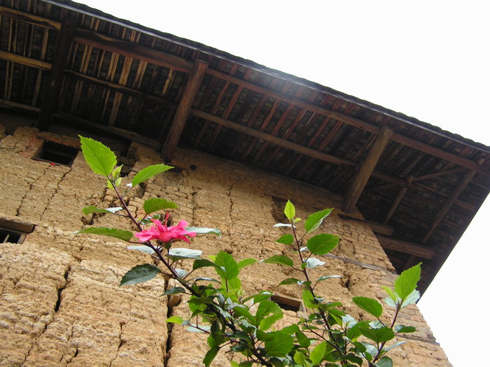pict0466_С.jpg
