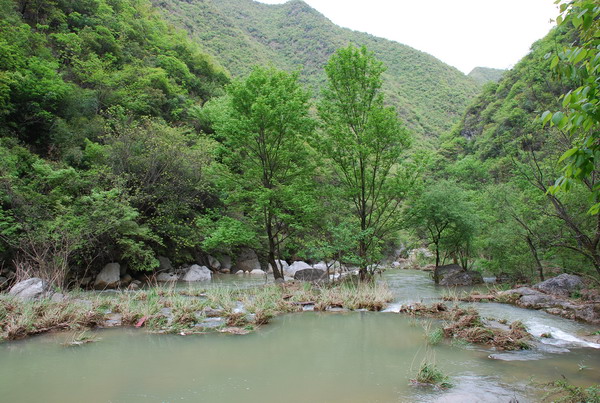 dsc_0370.jpg
