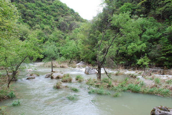 dsc_0371.jpg