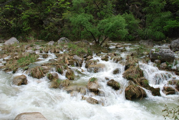 dsc_0409.jpg