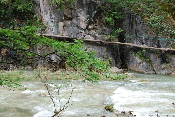 dsc_0334.jpg