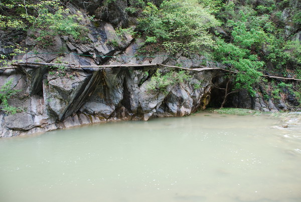 dsc_0336.jpg