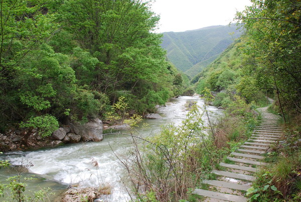dsc_0317.jpg
