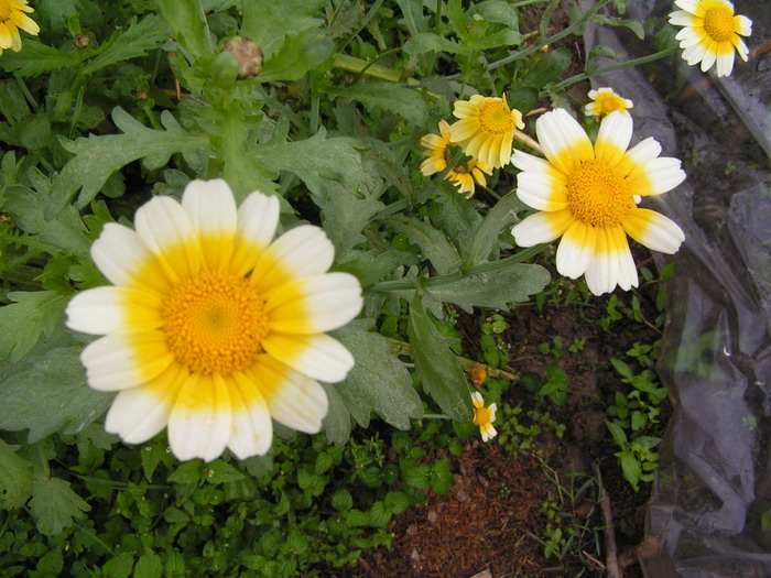 pict0589_С.jpg