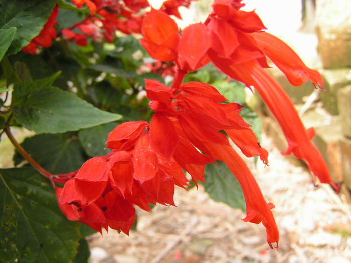 pict0634_С.jpg