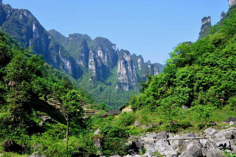 dsc_120Φʯ.jpg