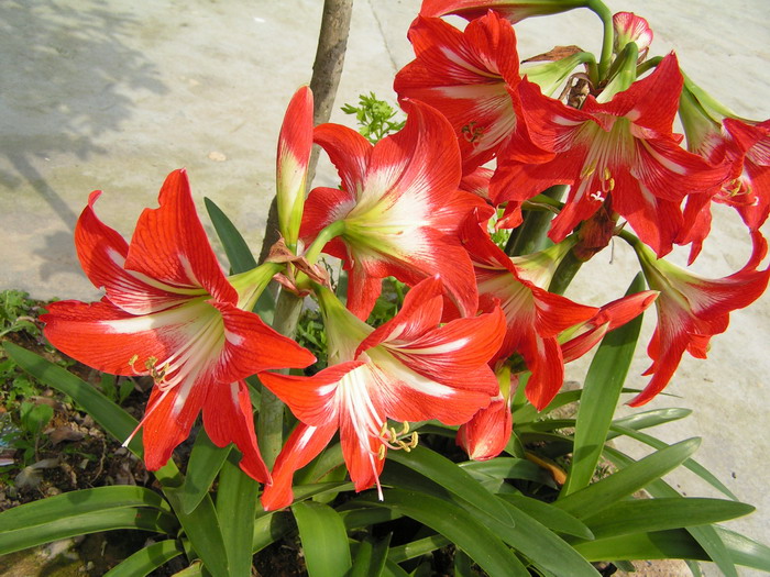 pict0529_С.jpg