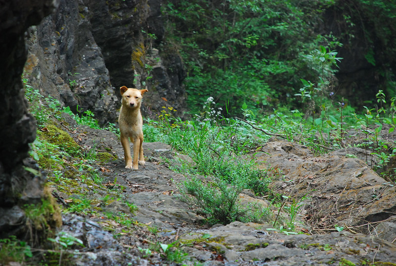 dsc_0296.jpg