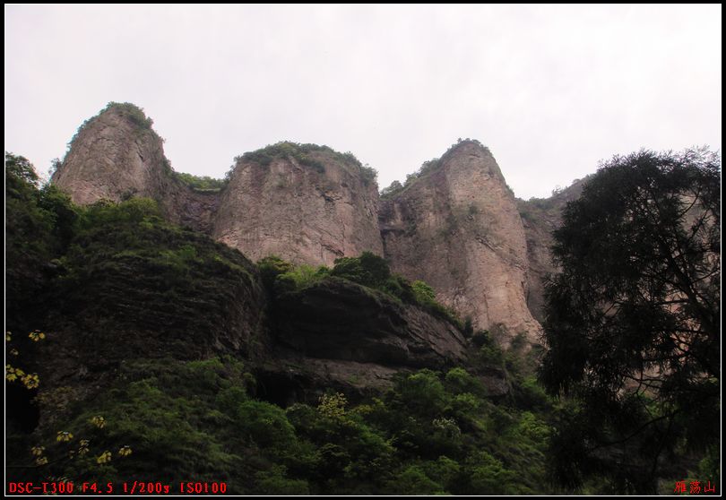 dsc00761.jpg