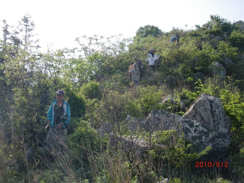 cimg2618.jpg