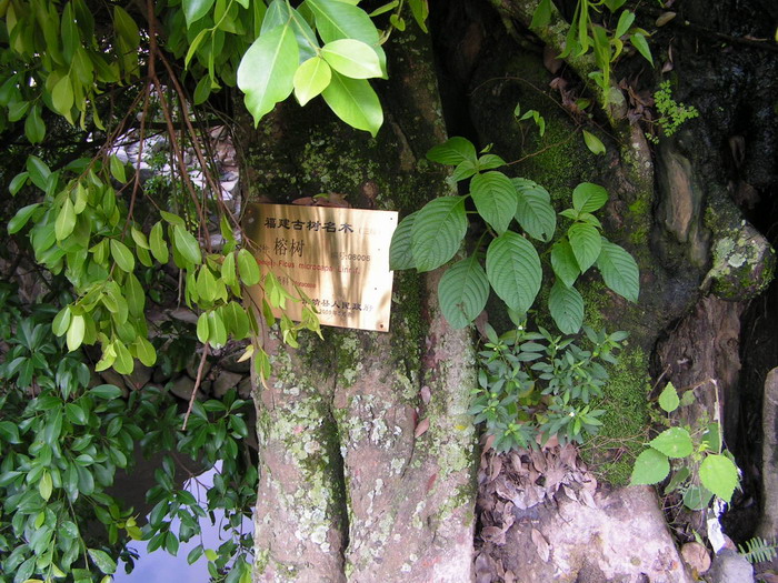 pict0637_С.jpg