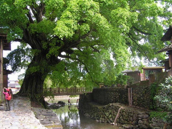 pict0640_С.jpg