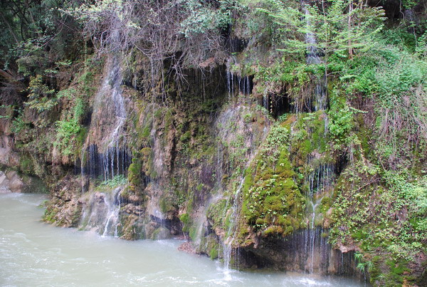 dsc_0418.jpg