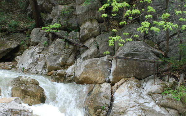 dsc_0421.jpg