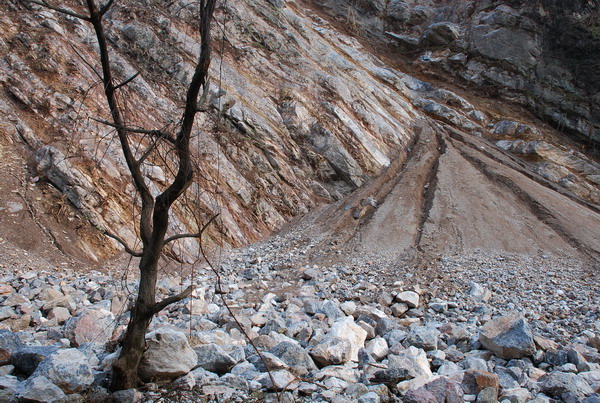 dsc_0437.jpg