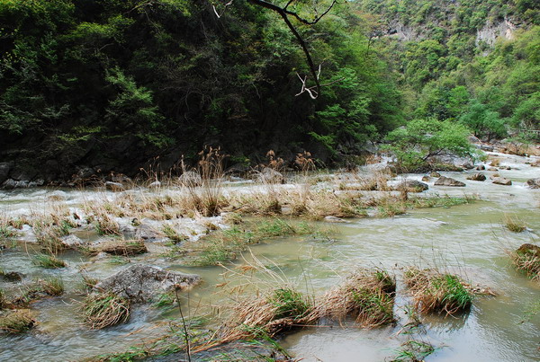 dsc_0464.jpg