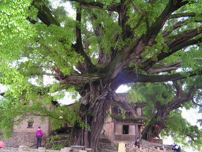 pict0662_С.jpg