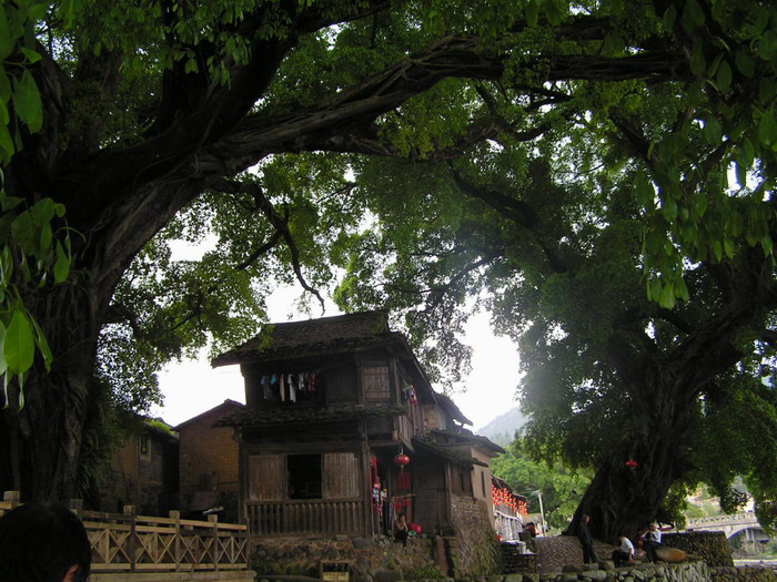 pict0664_С.jpg