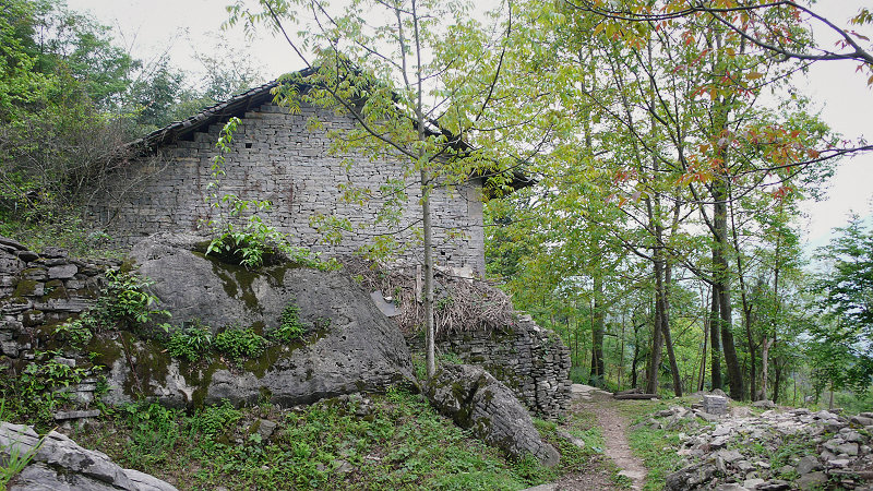 p1060218.jpg