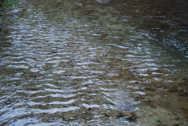 dsc_0480.jpg