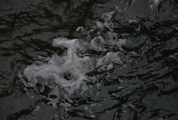 dsc_0494.jpg