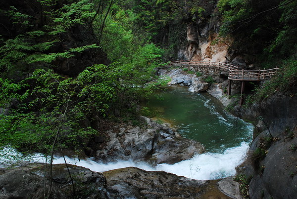 dsc_0495.jpg