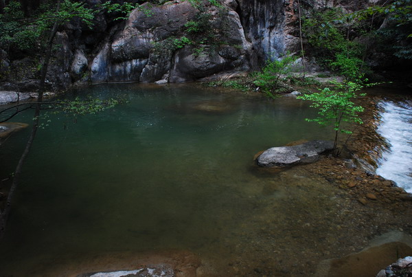 dsc_0500.jpg