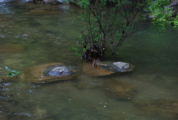 dsc_0508.jpg