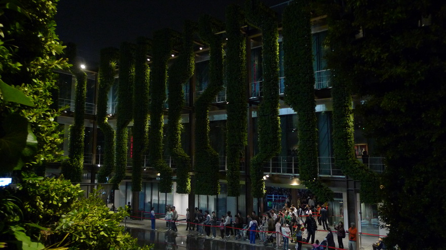 p1000676_С.jpg