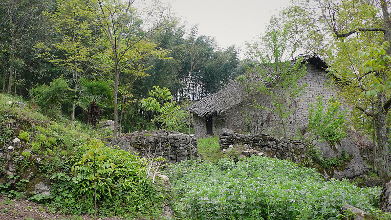 p1060217.jpg