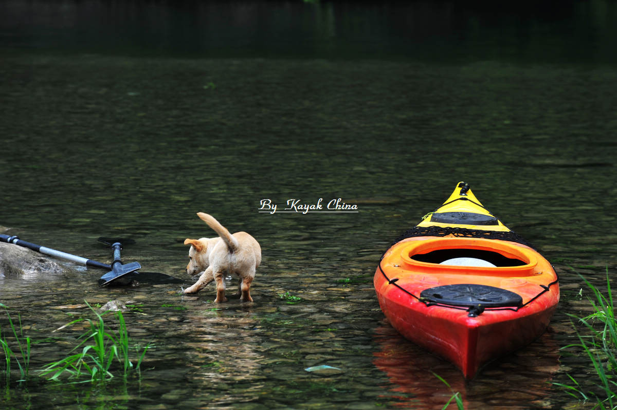 dsc_8767.jpg
