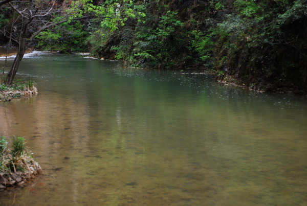 dsc_0517.jpg