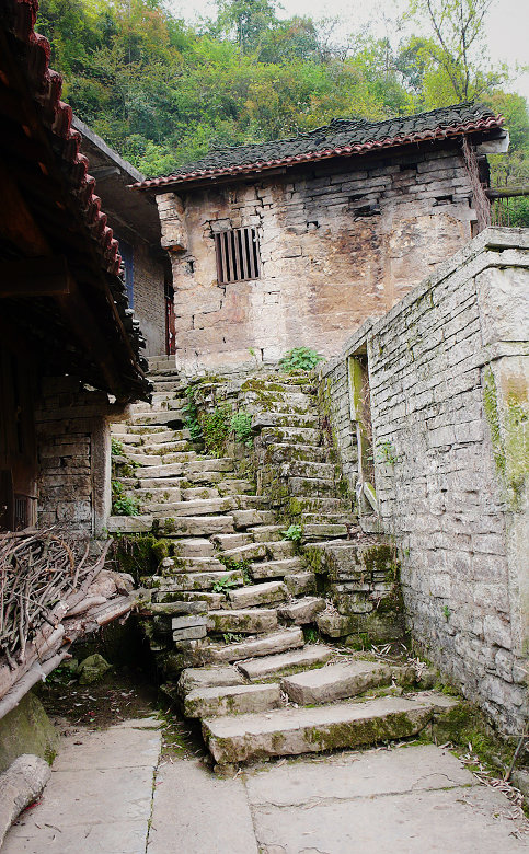 p1060255.jpg