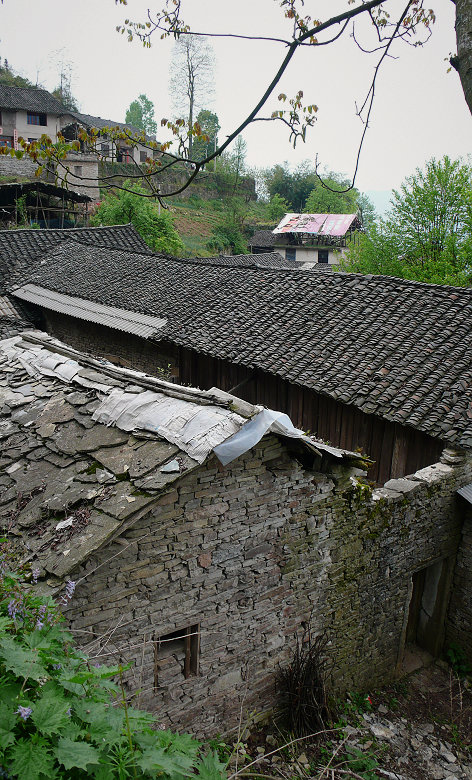 p1060314.jpg