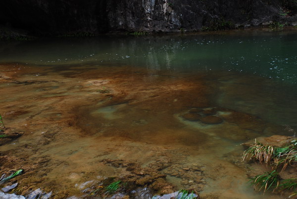 dsc_0544.jpg
