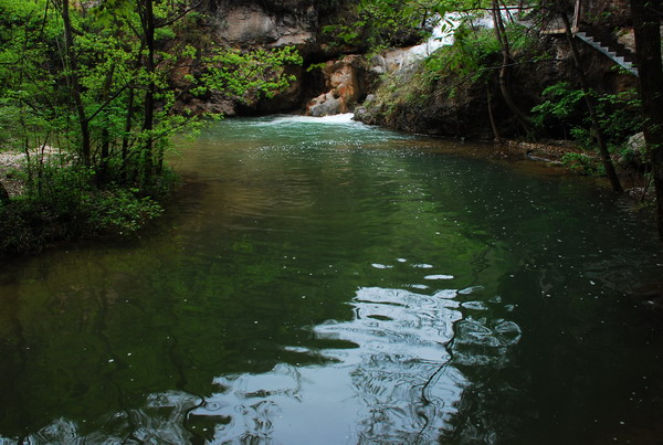 dsc_0551.jpg
