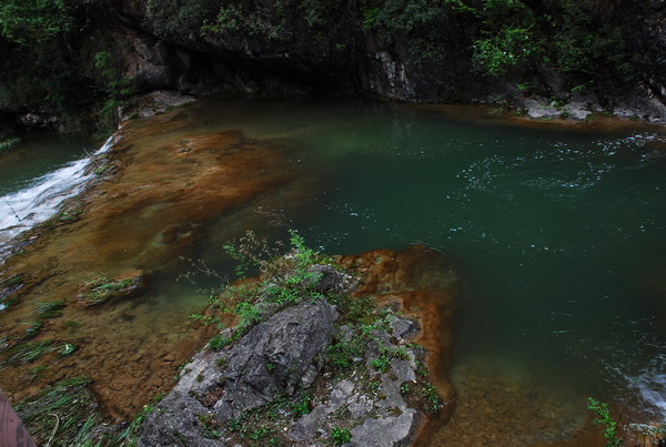 dsc_0548.jpg
