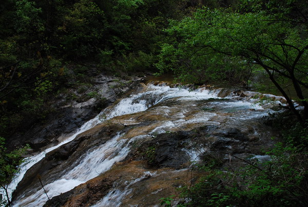 dsc_0555.jpg