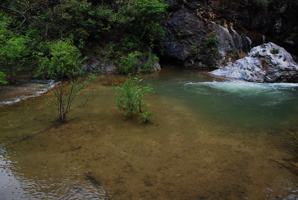 dsc_0559.jpg
