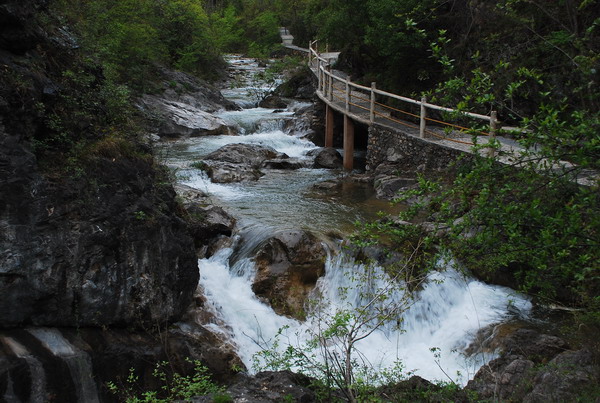 dsc_0566.jpg