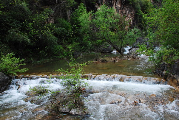 dsc_0575.jpg
