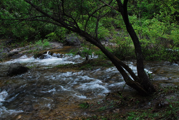 dsc_0577.jpg
