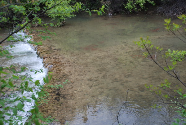 dsc_0584.jpg