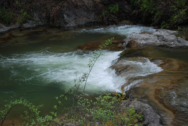 dsc_0587.jpg