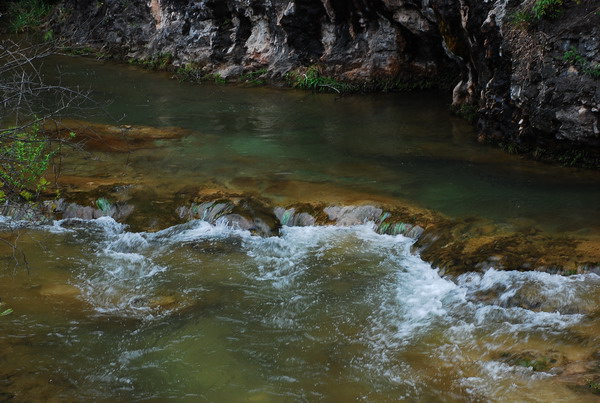 dsc_0599.jpg